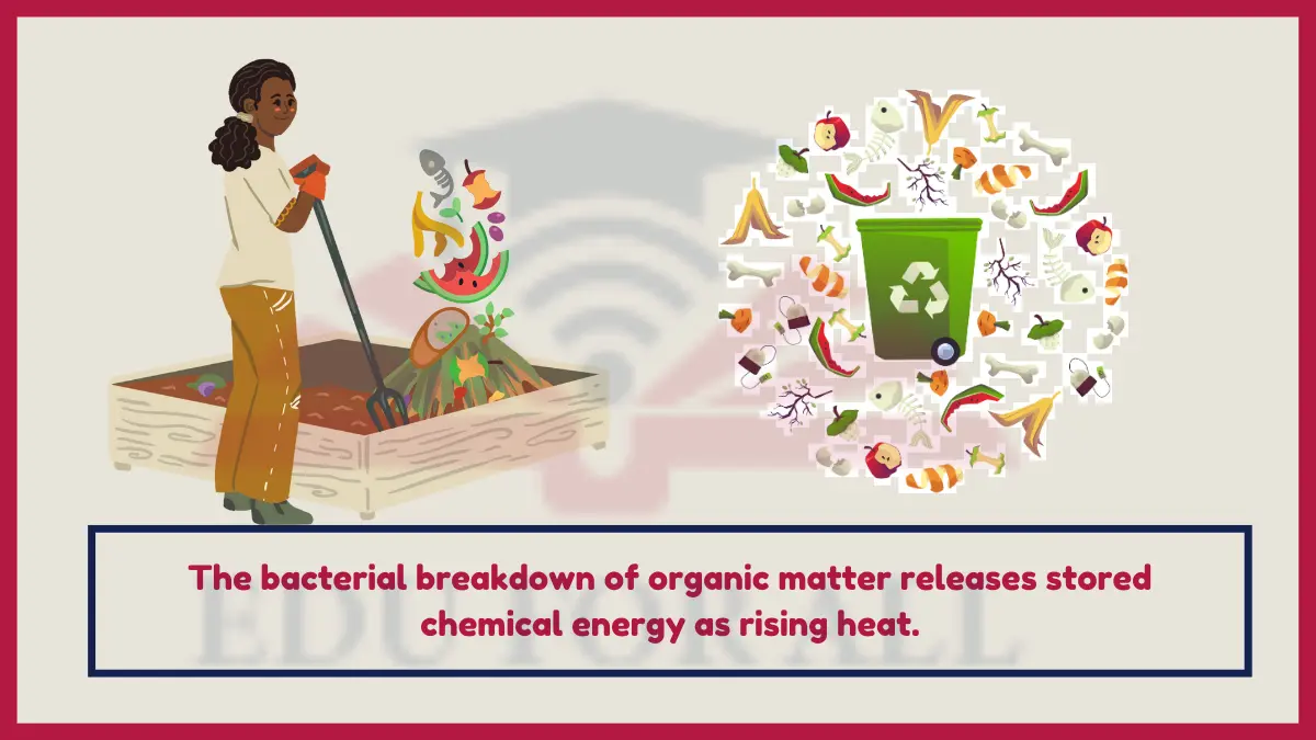 image showing Composting Organic Matter as an example of thermal energy