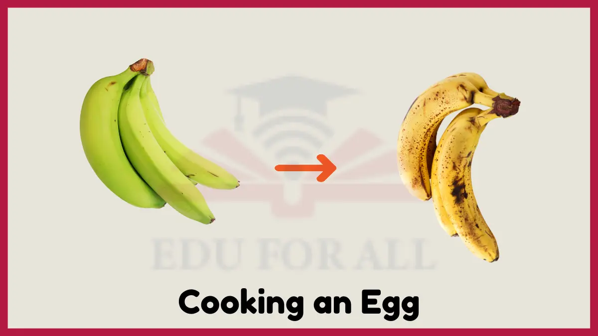 image showing Ripening a Banana as an example of chemical change