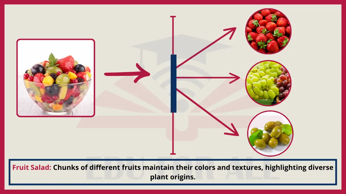 image showing Fruit Salad as an Example of Heterogenous Mixtures