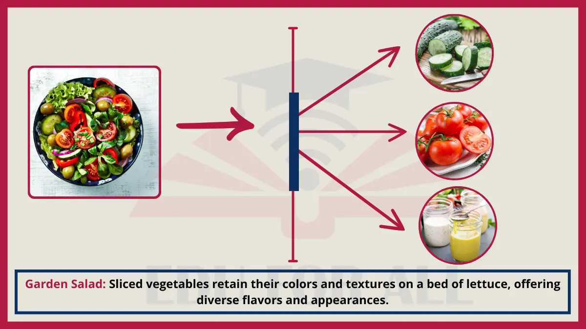 image showing Garden Salad as an Example of Heterogenous Mixtures