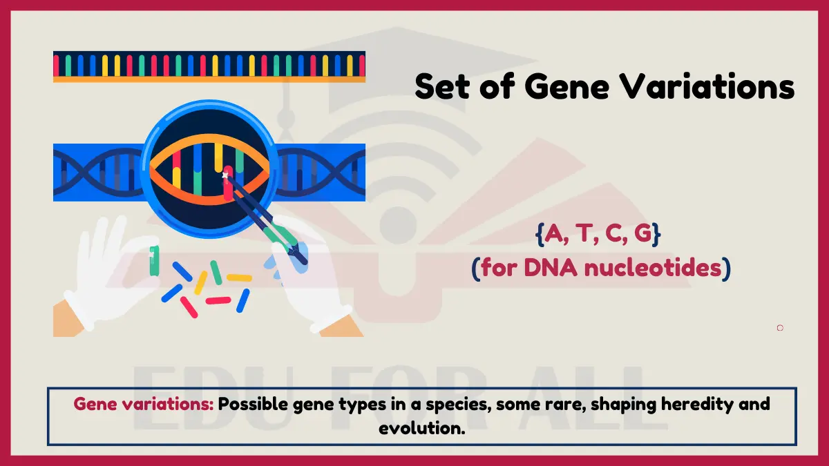 image showing Set of Gene Variations in Biology as an example of set