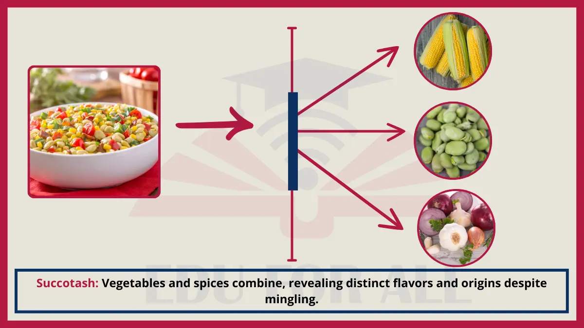 image showing Succotash as an Example of Heterogenous Mixtures