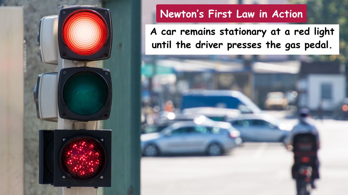 Car at a Stoplight as an examples of Newton’s First Law in Action