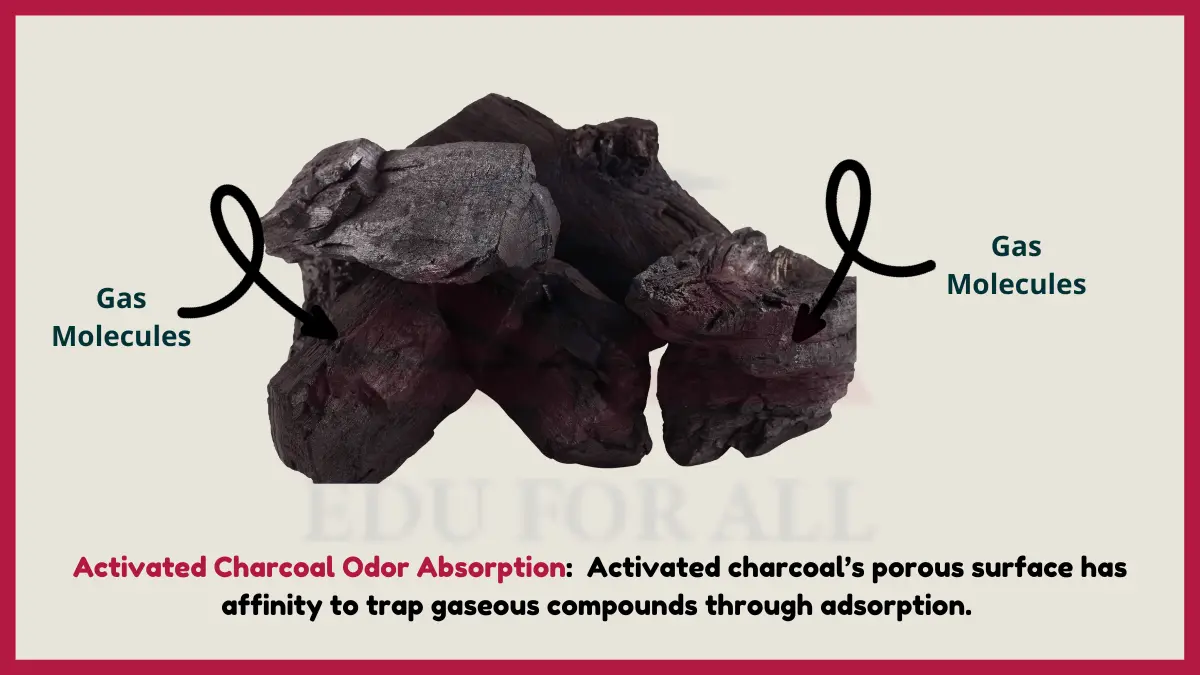 image showing Activated Charcoal Odor Absorption  as an example of chemical properties