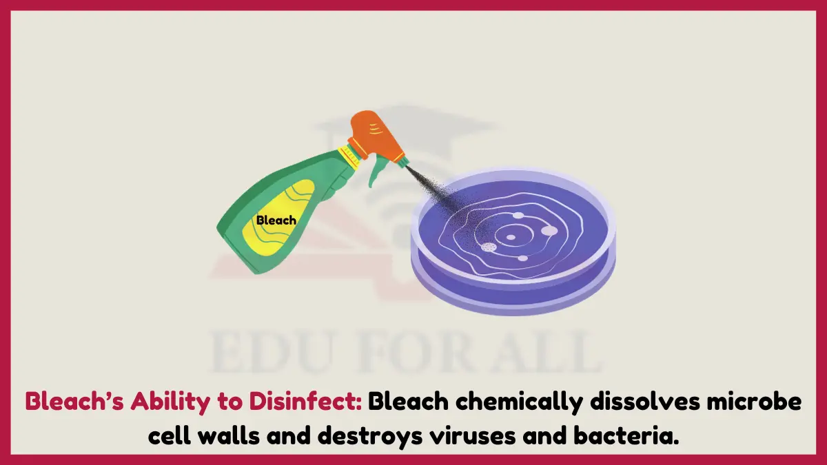 image showing Bleach’s Ability to Disinfect as ONE OF THE exampleS of chemical properties