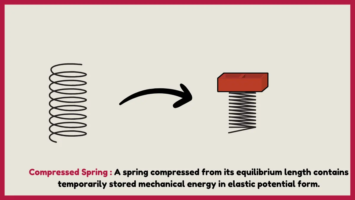 image showing Compressed Spring  as an examples of mechanical energy