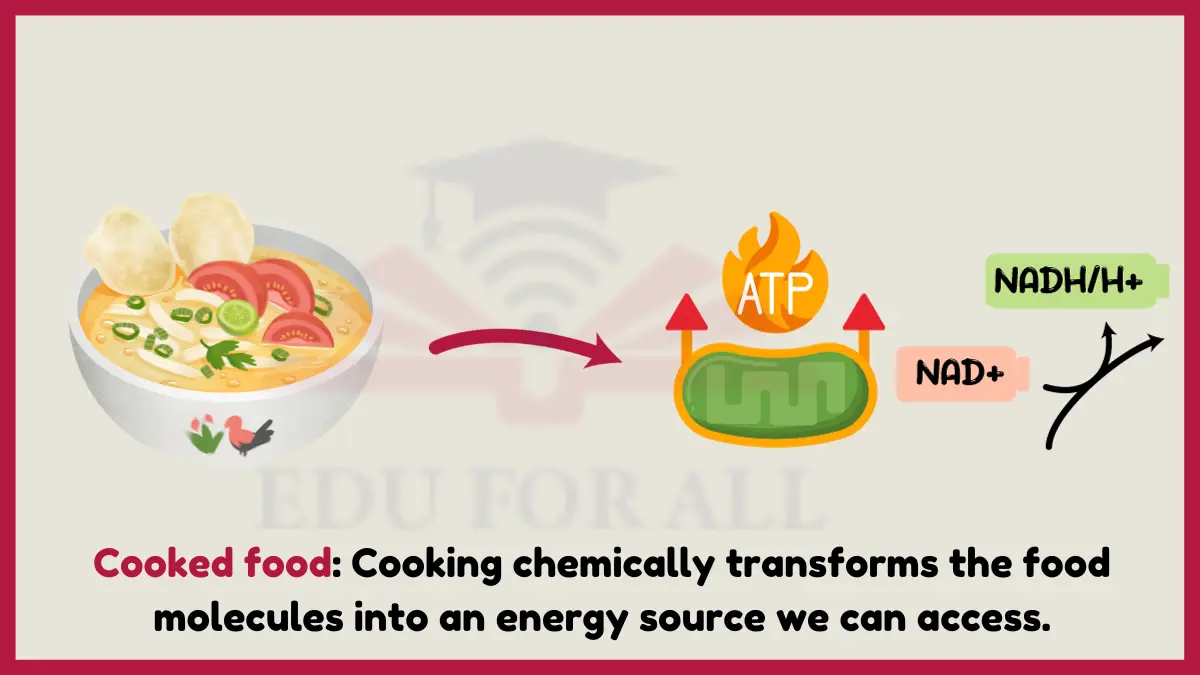 image showing  Cooked food as an example of chemical energy