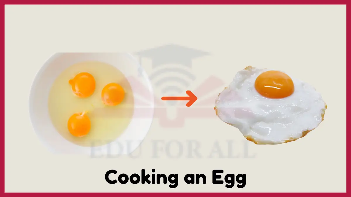 image showing Cooking an Egg as an example of chemical change