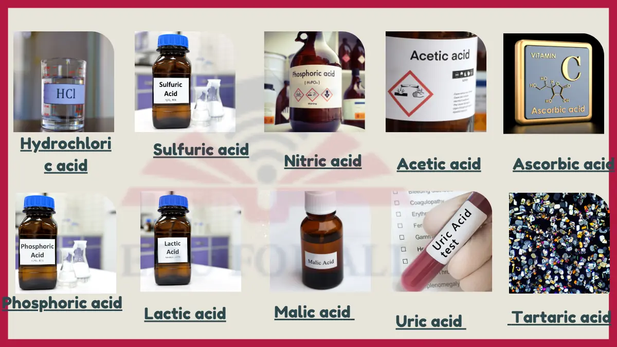 image showing Examples of Acids