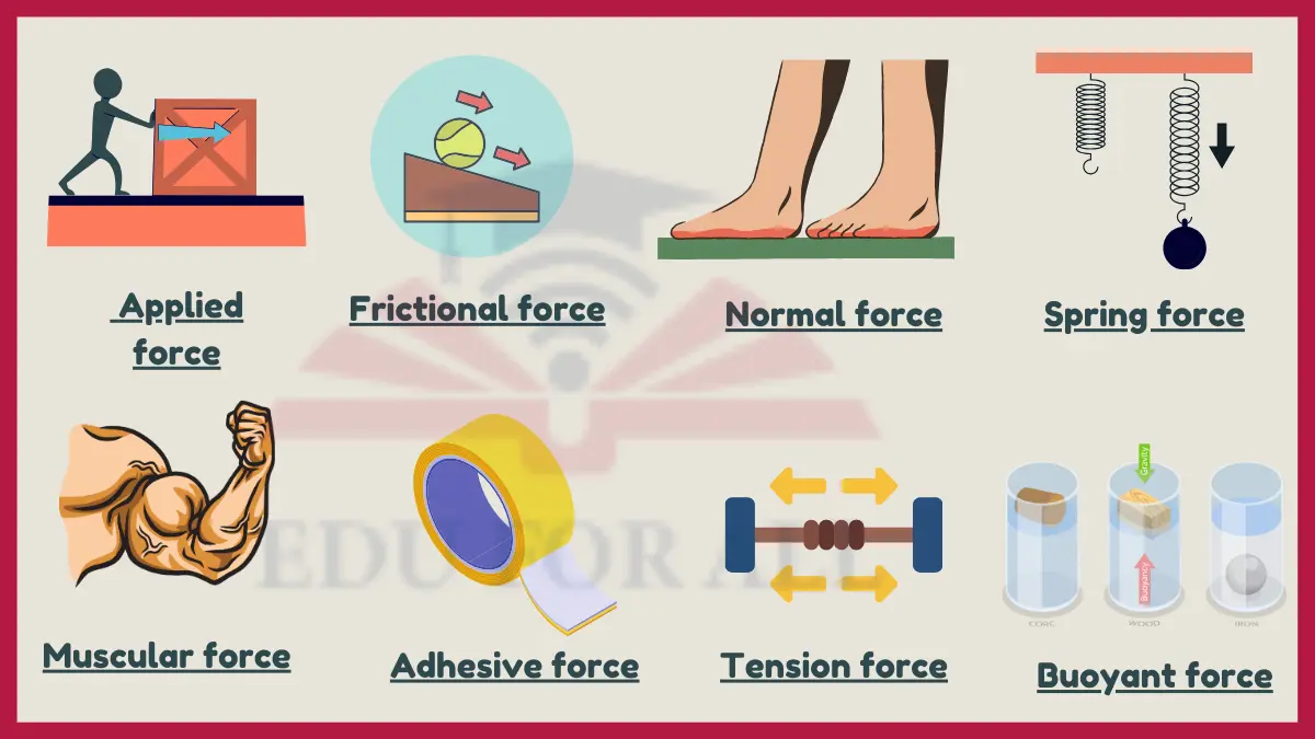 image showing Examples of Contact Forces