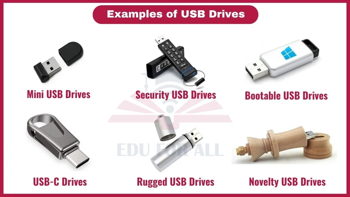 image showing Examples of USB Drives