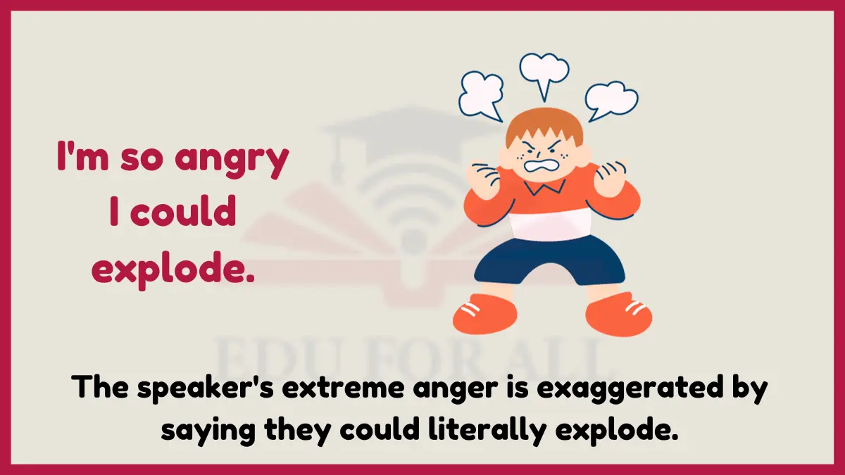 image showing  I'm so angry I could explode as an example of hyperbole