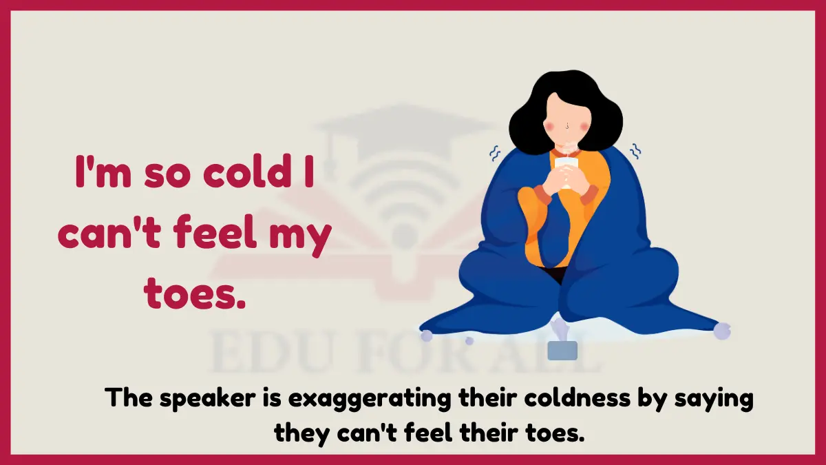 image showing I'm so cold I can't feel my toes. as an example of hyperbole