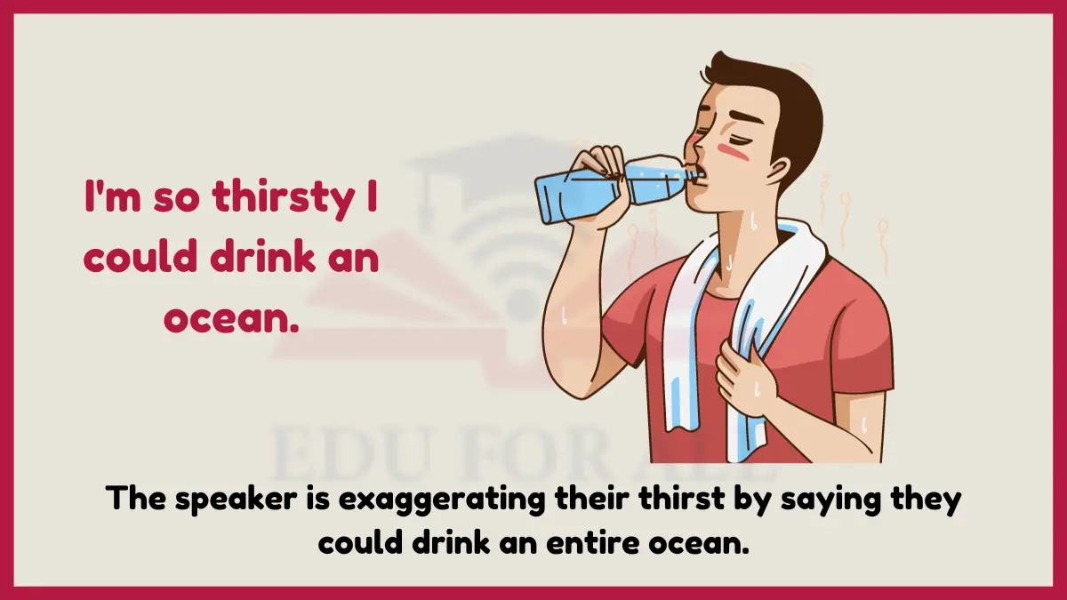 Im so thirsty I could drink an ocean as an example of hyperbole