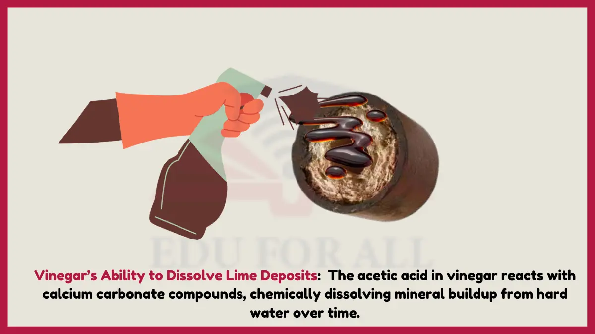 image showing Vinegar’s Ability to Dissolve Lime Deposits  as an example of chemical properties