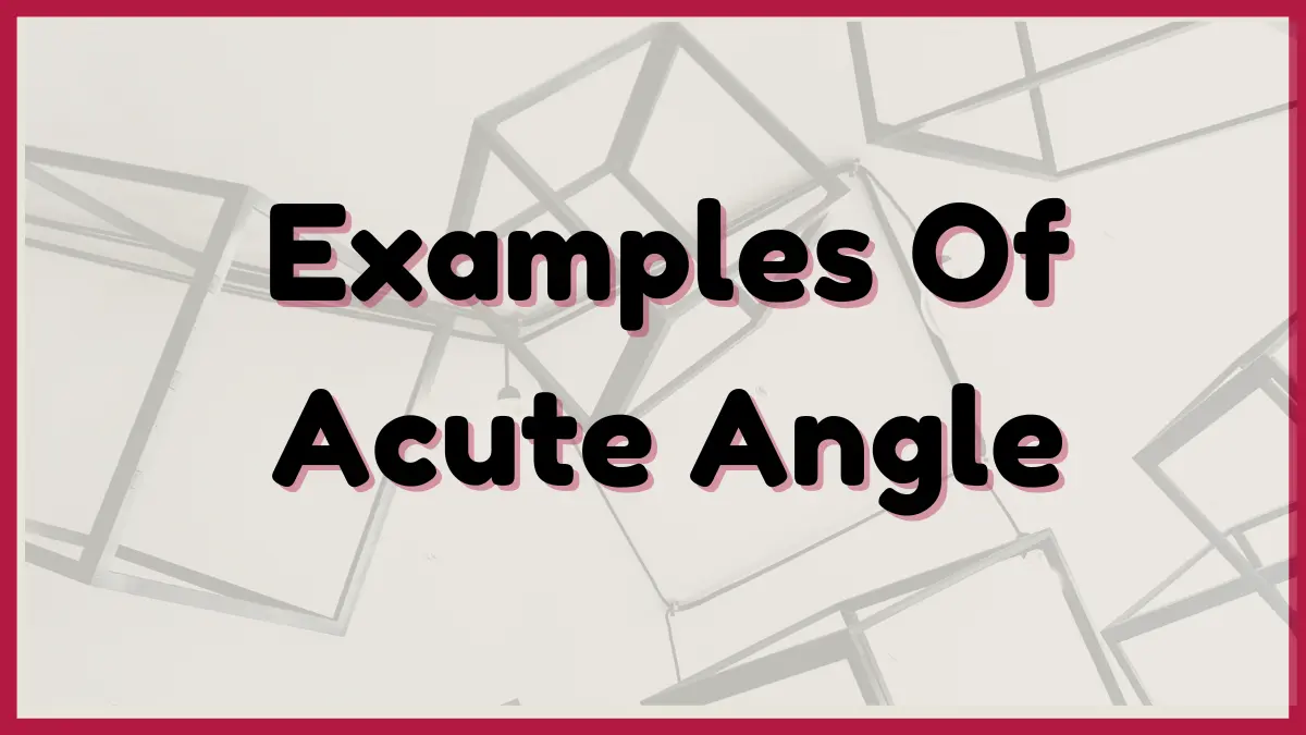 featured image of Examples Of Acute Angle