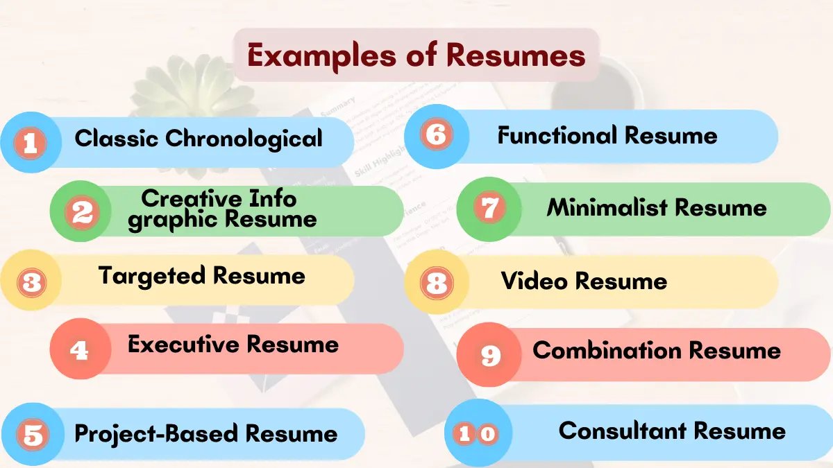 Image showing the examples of Resumes