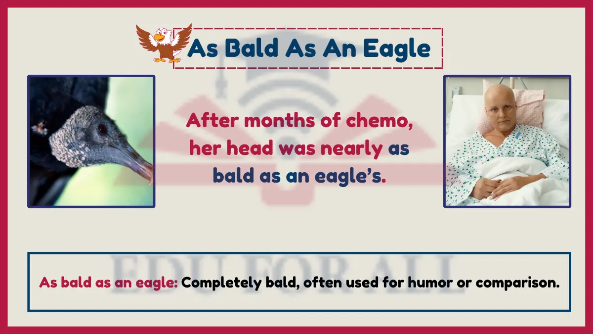 As bald as an eagle as an Example Of simile