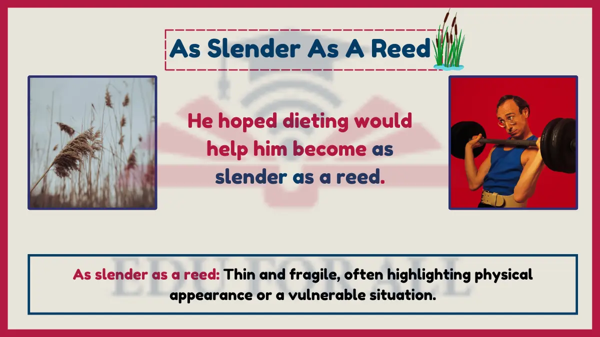 As slender as a reed as an Example Of simile