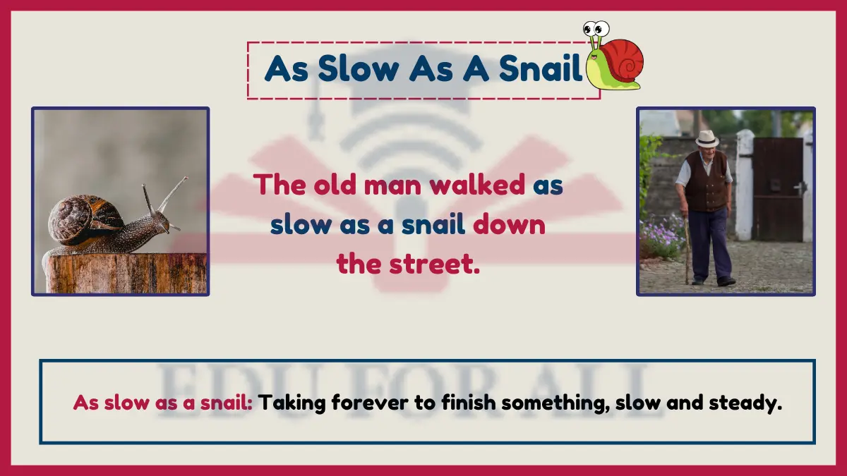 As slow as a snail as one of the Examples Of Similes