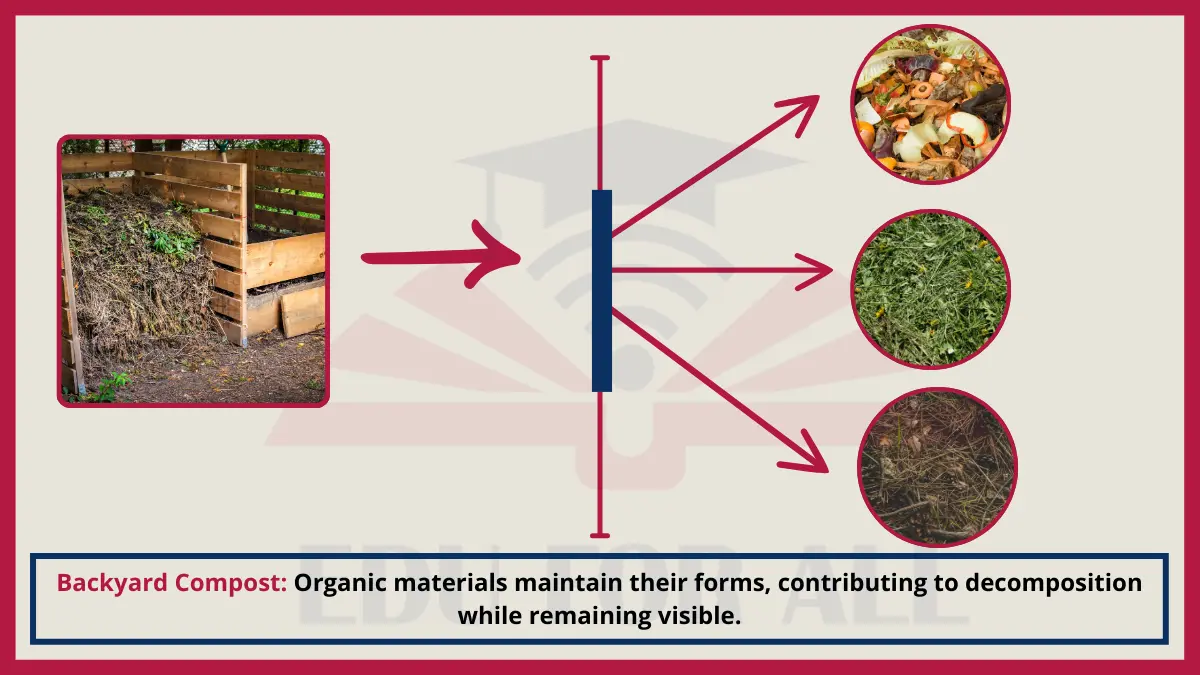 image showing Backyard Compost as an Example of Heterogenous Mixtures