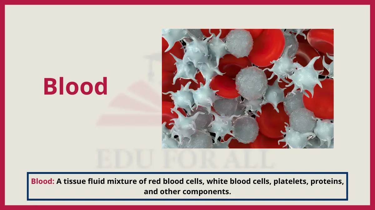 image showing Blood as an example of mixture