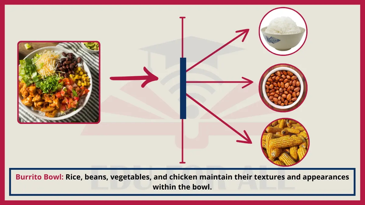image showing Burrito Bowl as an Example of Heterogenous Mixtures