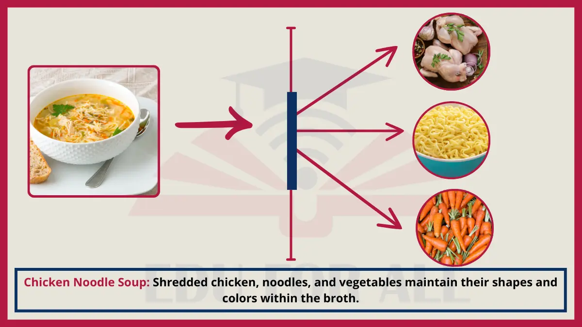 image showing Chicken Noodle Soup as an Example of Heterogenous Mixtures