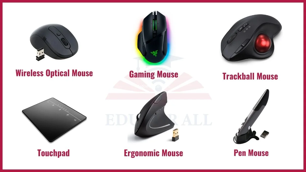 image showing Examples of Mouse