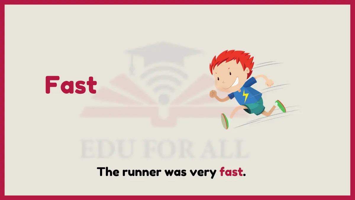 image showing Fast as an example of adjective