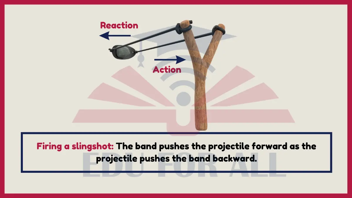 image showing Firing a Slingshot as an Example of Newtons Third Law
