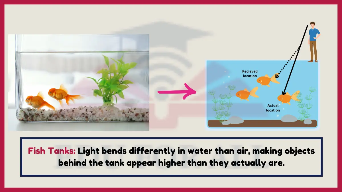 image showing Fish Tanks as an example of refraction of light