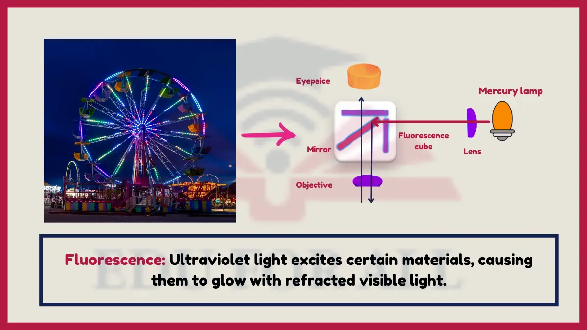 image showing Fluorescence  as an example of refraction of light
