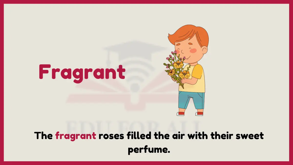 image showing Fragrant as an example of adjective