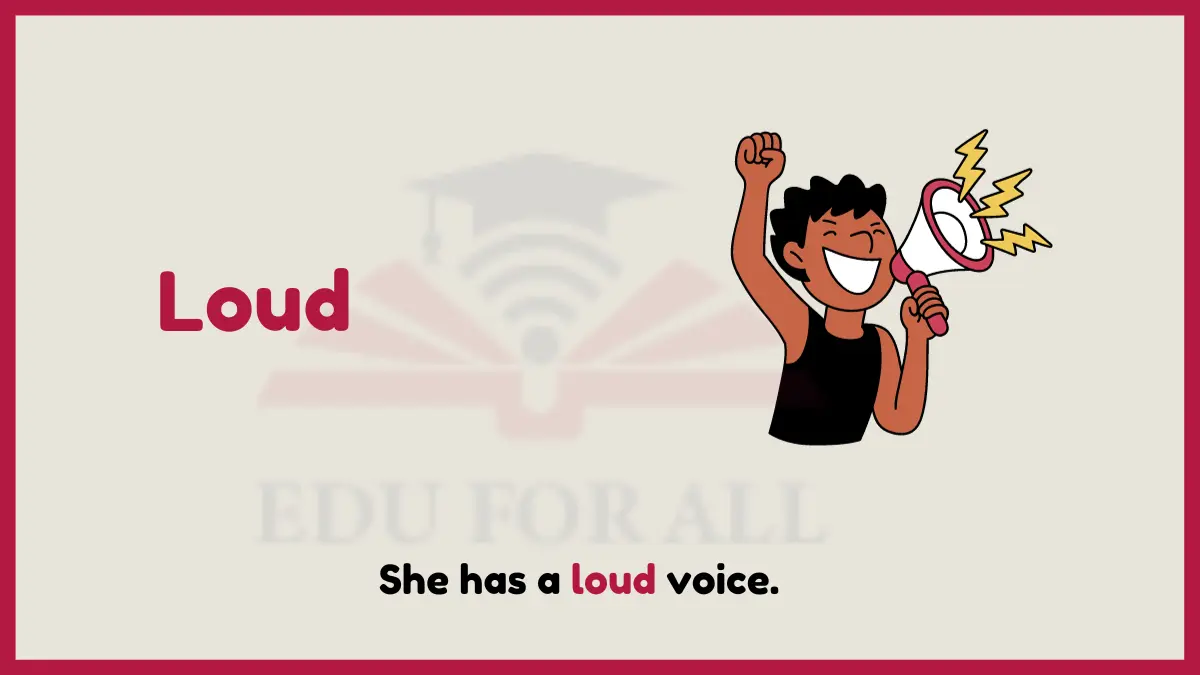 image showing Loud as an example of adjective