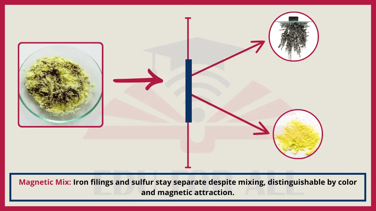 image showing Magnetic Mix as an Example of Heterogenous Mixtures