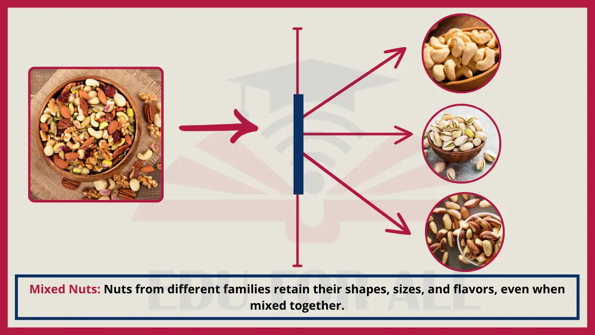 image showing Mixed Nuts as an Example of Heterogenous Mixtures