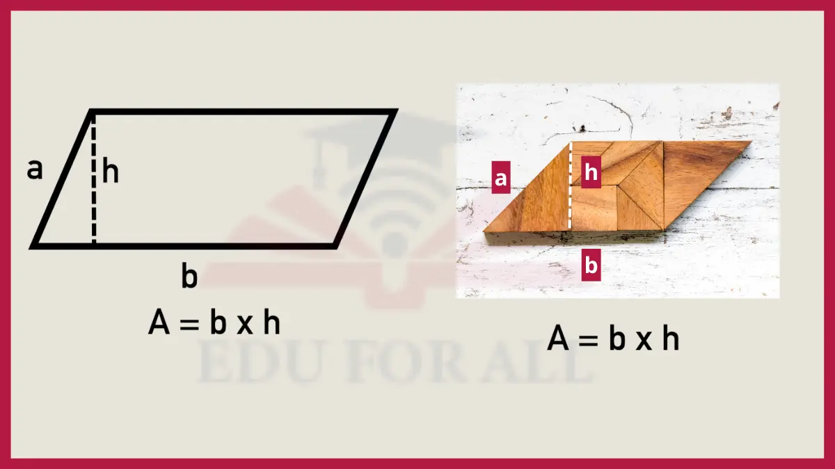 image showing Parallelogram Area as an example of area in math