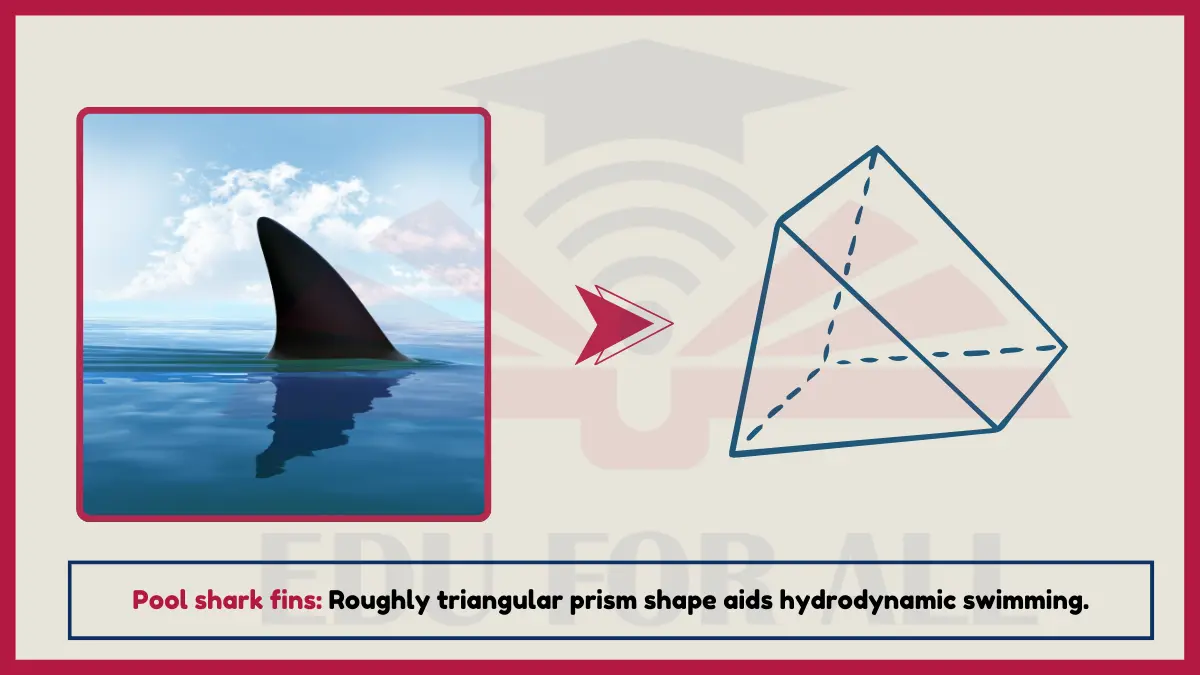 image showing Pool shark fins as an example of triangular prisms