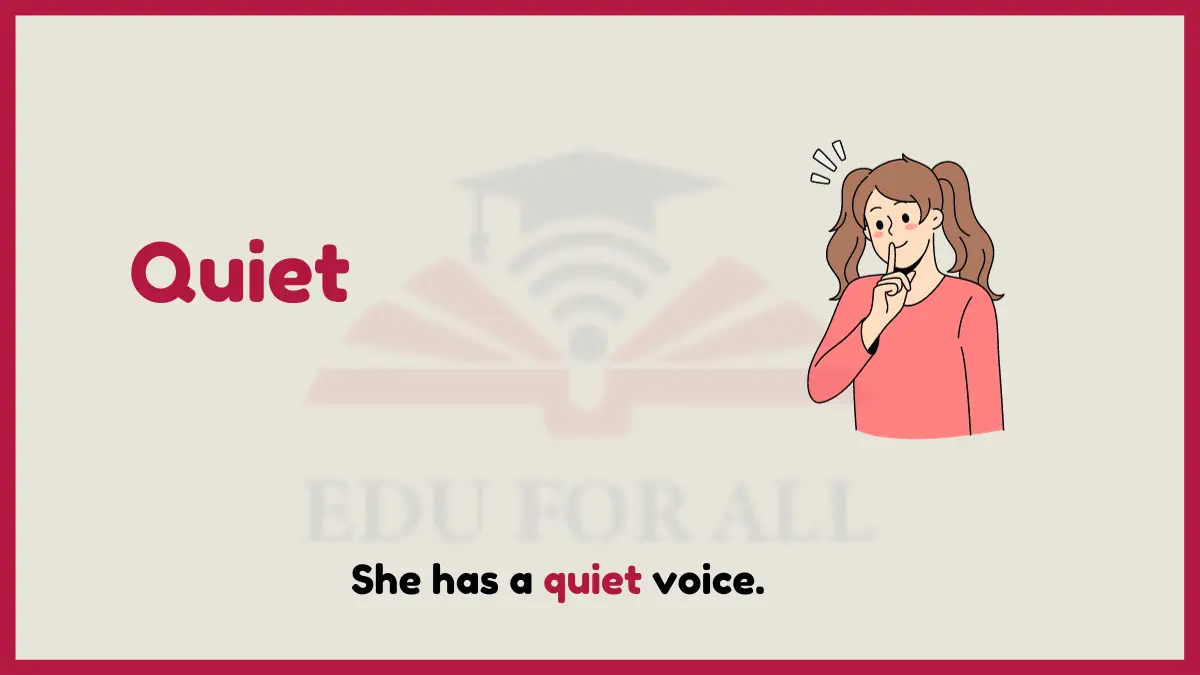 image showing Quiet as an example of adjective