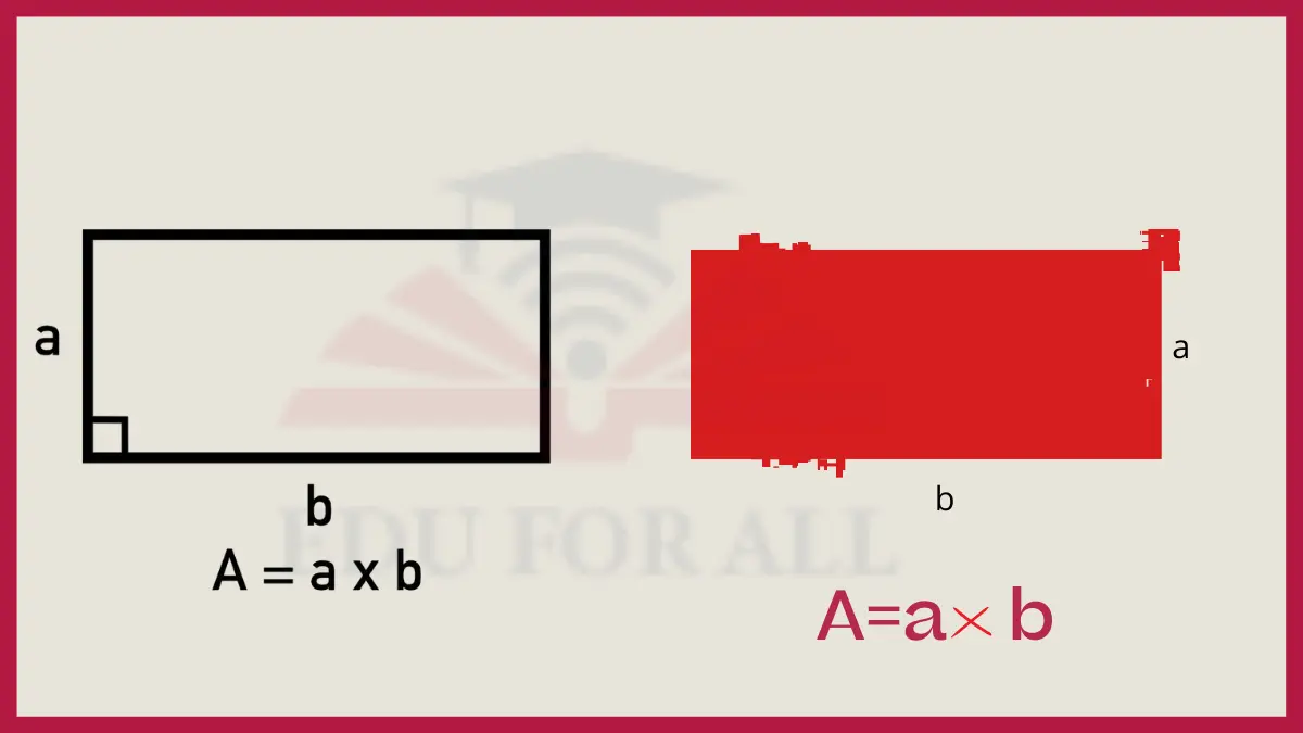 image showing Rectangle Area as an example of area in math