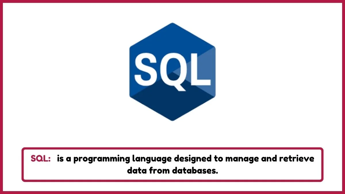image showing SQL as a example of programming language