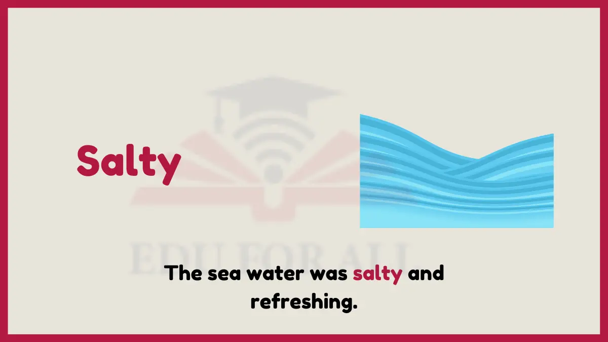 image showing Salty as an example of adjective