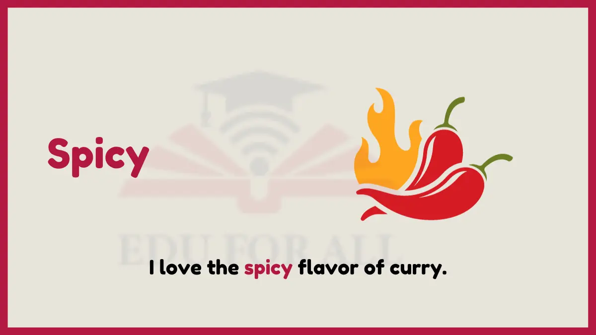 image showing Spicy as an example of adjective