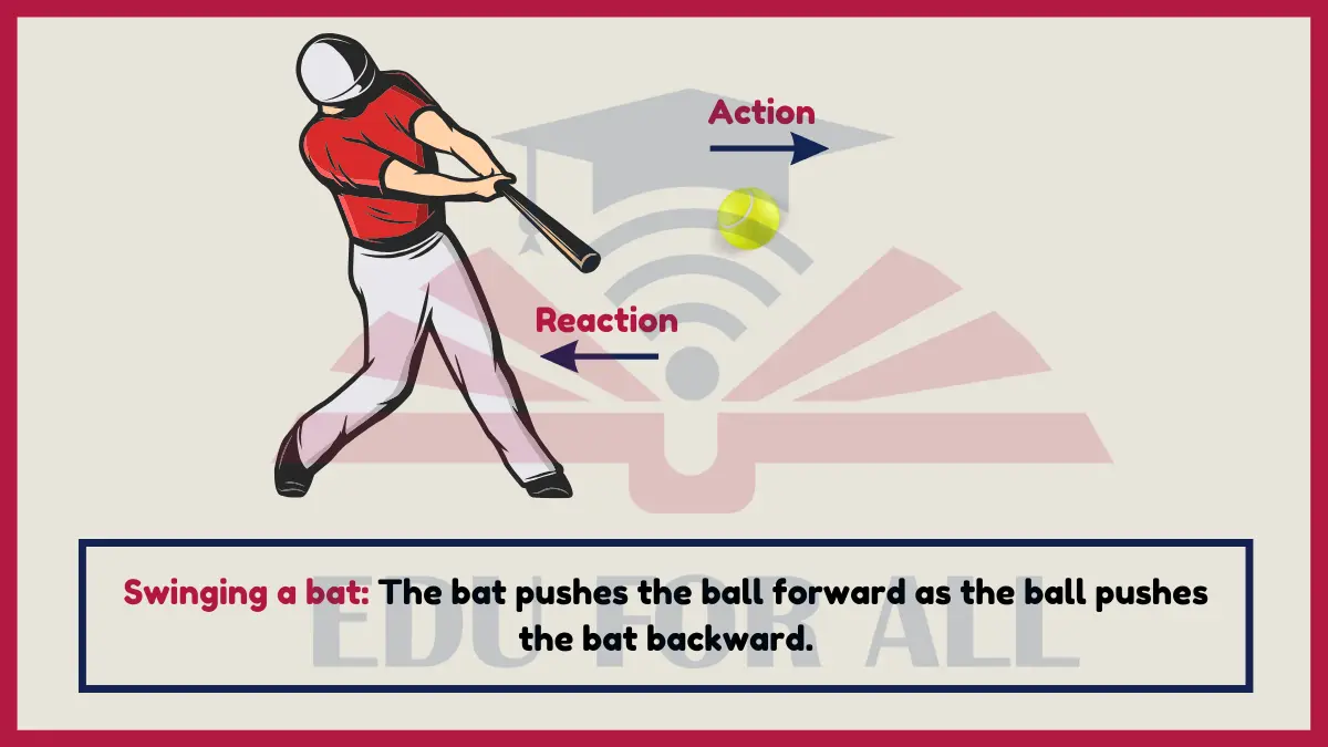 image showing Swinging a Bat as an Example of Newtons Third Law