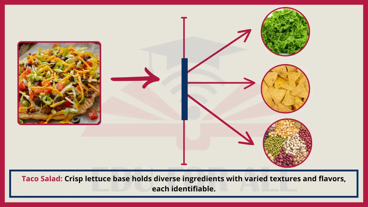 image showing Taco Salad as an Example of Heterogenous Mixtures