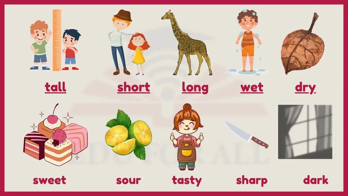 featured image of examples of adjective