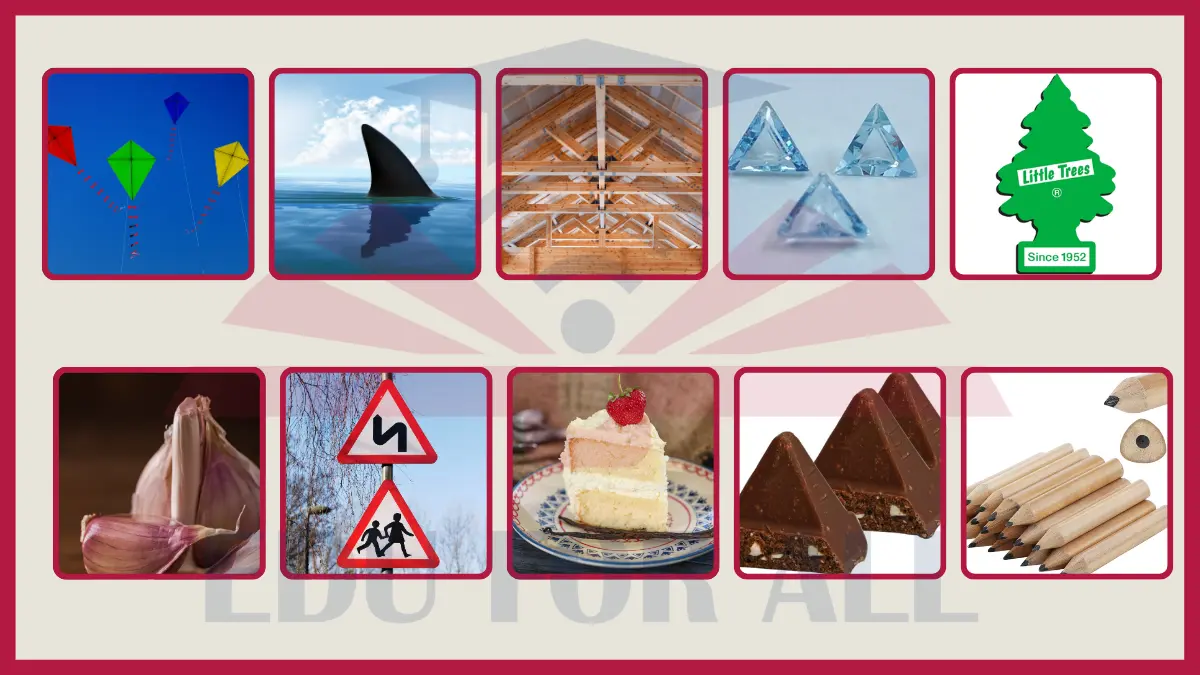 featured image of Examples of Triangular Prism