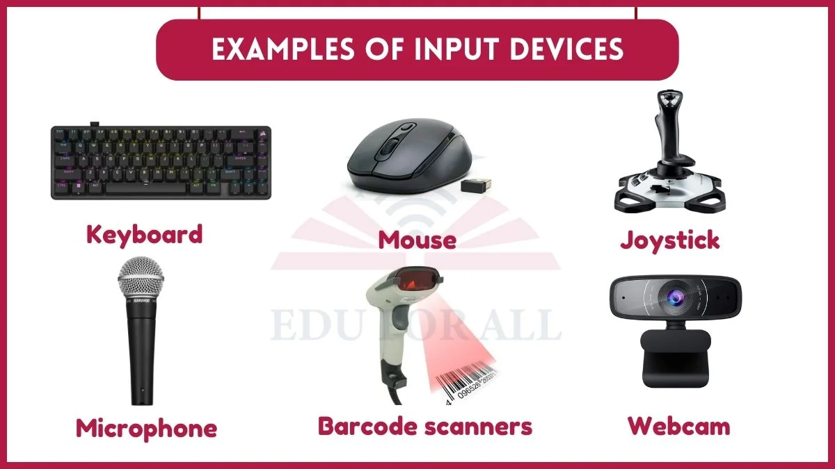 image showing Examples of Input Devices