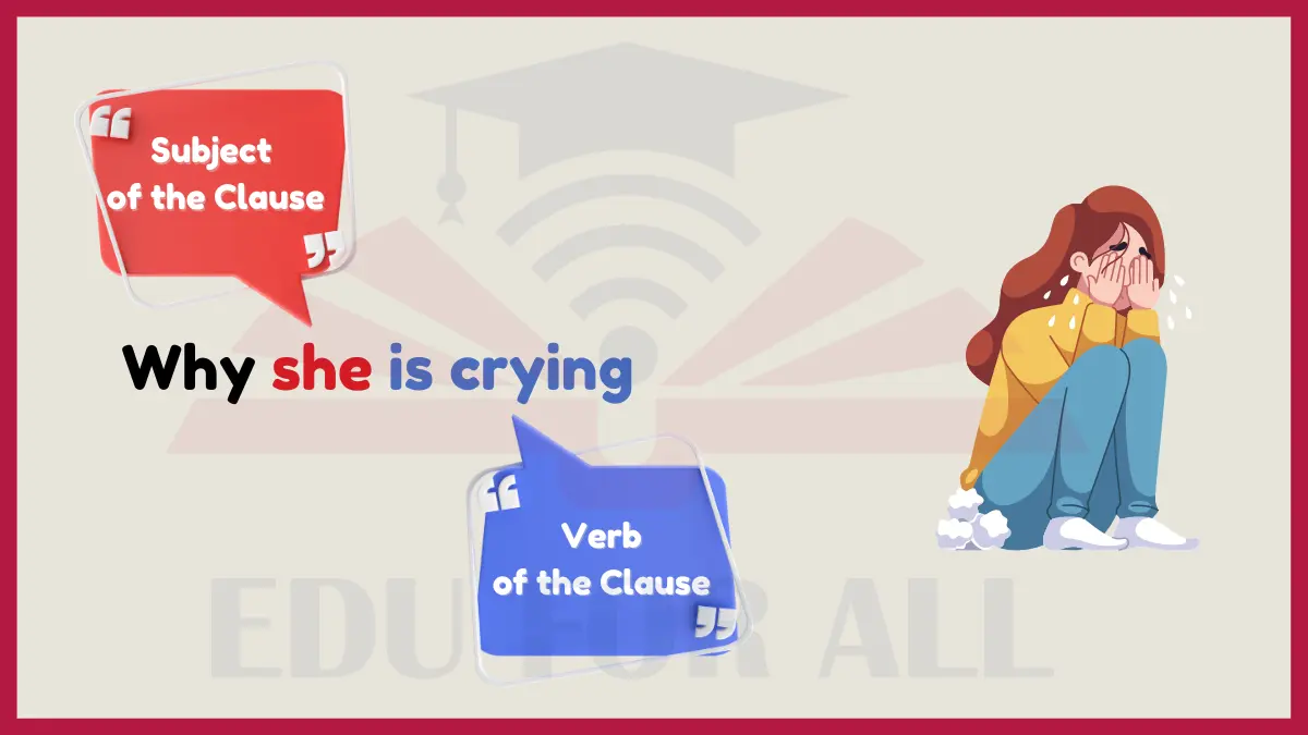 image showing Why she is crying as an example of Noun Clauses 